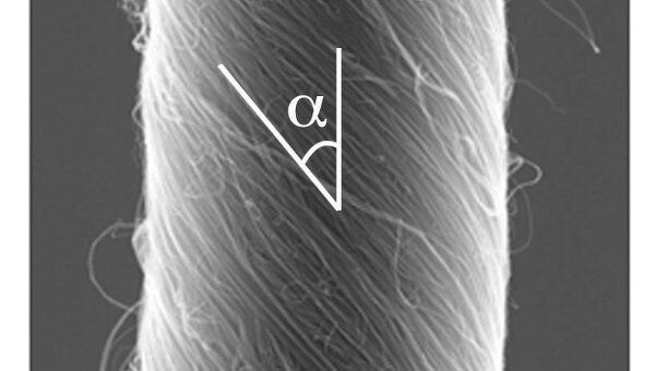 Мускульное волокно из переплетенных нанотрубок 
