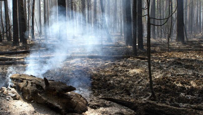 Тушение лесного пожара в Воротынском районе Нижегородской области. Архив