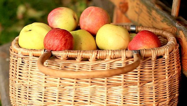 Как отбирать яблоки для душистого варенья и зимнего хранения