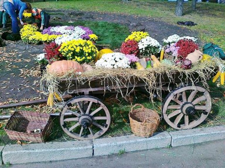 Осенний бал цветов, или Хризантемы в киевском парке