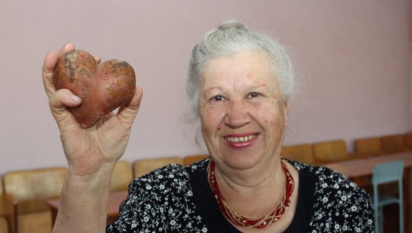 Картофель в форме сердца показали картофелеводы на заседании в Омске