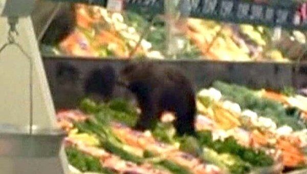 Медвежонок зашел в супермаркет в отдел фруктов и овощей   