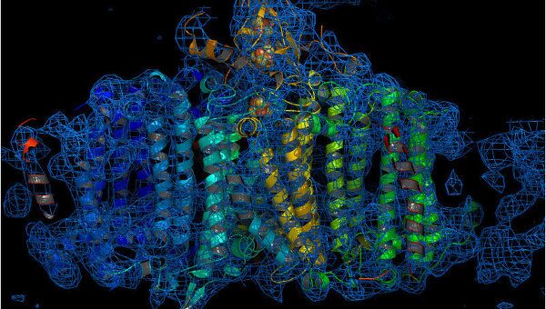 Реконструированное трехмерное изображение молекулы белка Photosystem I
