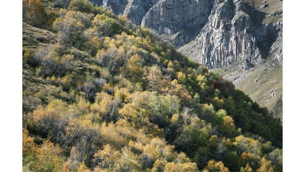 На склонах Большого Кавказа