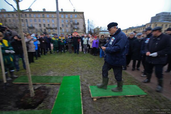 В субботу губернатор Петербурга сажал деревья по всему город