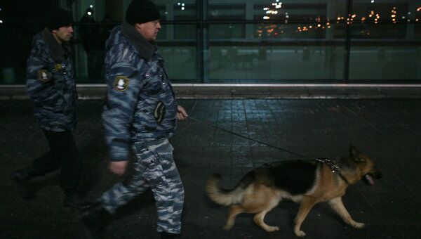 Сотрудники правоохранительных органов патрулируют территорию здания аэропорта Домодедово
