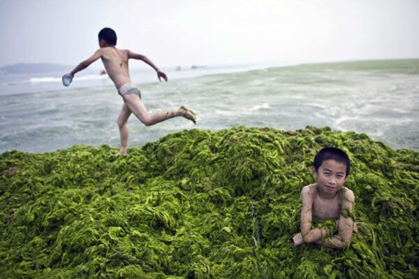 Мальчик сидит в куче водорослей, Китай