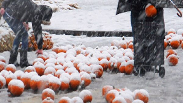 Сильный снегопад сорвал праздник тыквы в Нью-Йорке