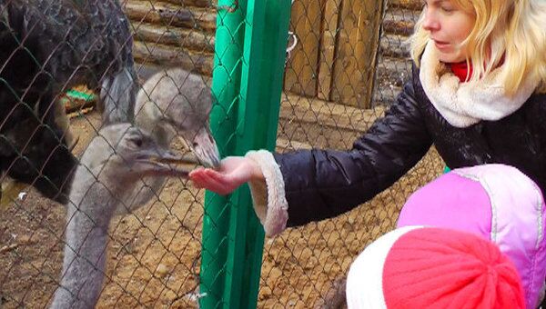 Сказочные герои учат детей дружить с животными в зоопарке Костромы