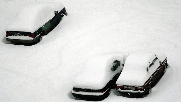Снегопад заставил петербуржцев взяться за лопаты