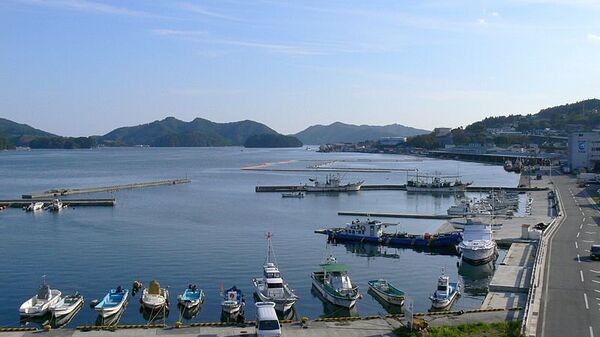 Порт в провинции Иватэ в Японии. Архивное фото