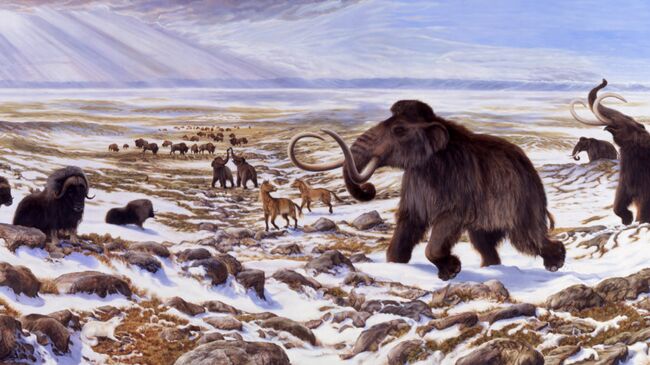 Человек и климат внесли равный “вклад” в вымирание мегафауны ледникового периода