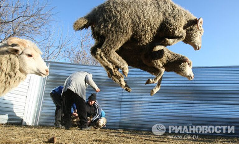 Празднование Курбан-байрама в Казани