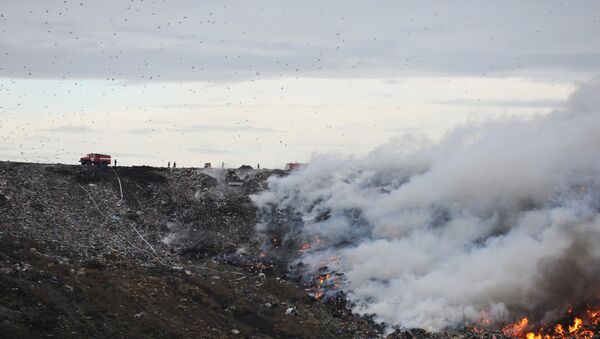 Пожар на свалке мусора на Волхонском шоссе в Ленинградской области. Архив