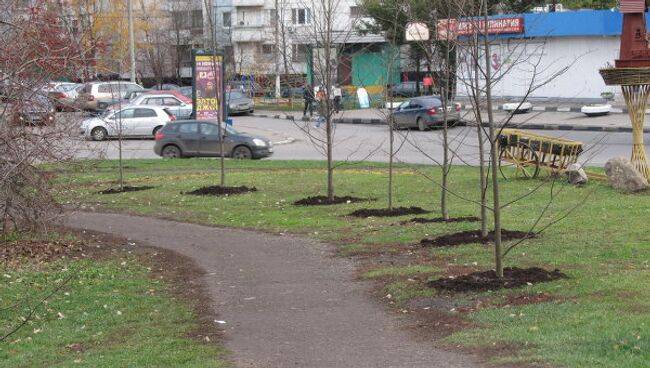 Новые деревья в Бирюлевском дендропарке. Архив