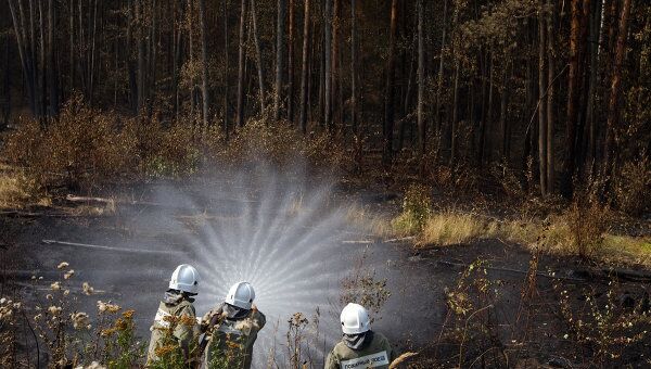 Тушение лесных пожаров в Московской области. Архив