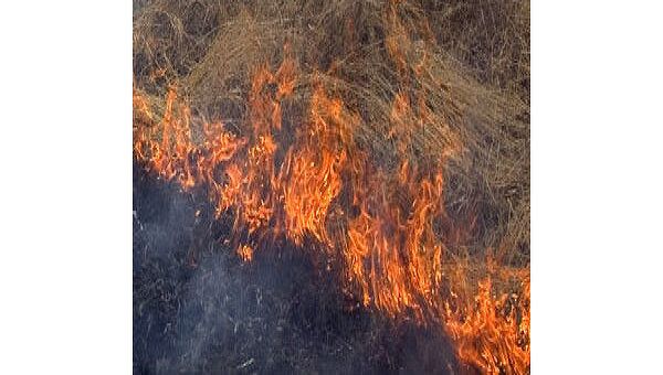 Шесть домов сгорели в Тверской области из-за поджога травы