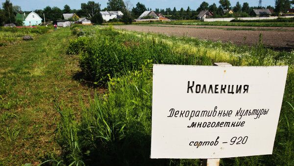 Земли Вавиловской коллекции растений закрепят за Павловской станцией