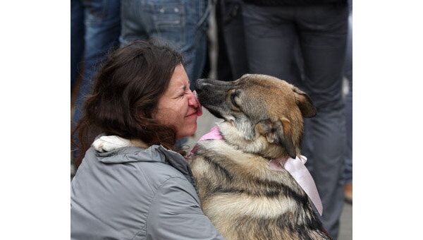 Благотворительная акция раздачи бездомных животных Минск