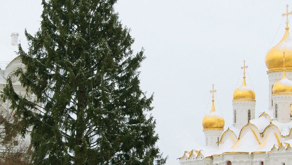 Украшение новогодней елки страны на Соборной площади Кремля