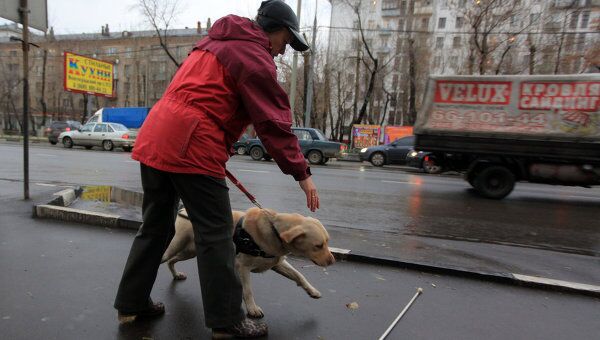 Тренировка собак-поводырей в Москве