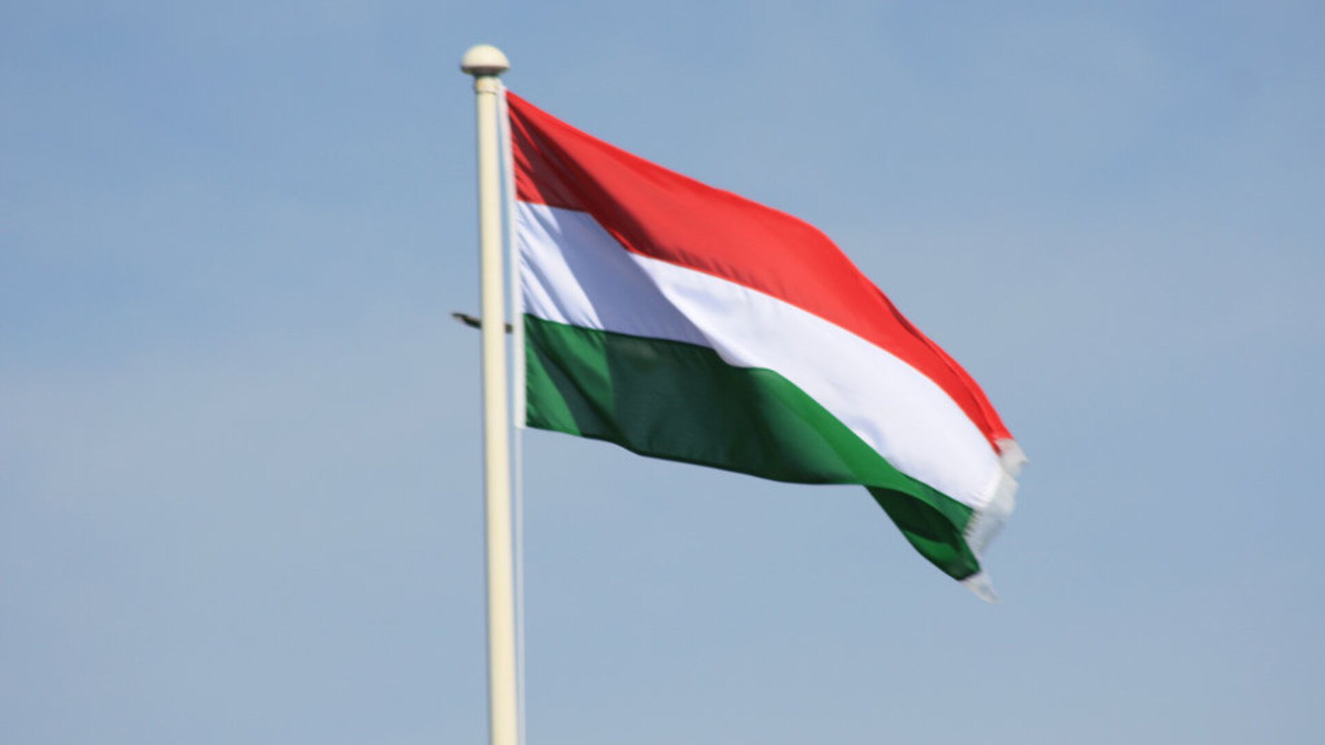 Флаг Венгрии  - РИА Новости, 1920, 24.09.2020