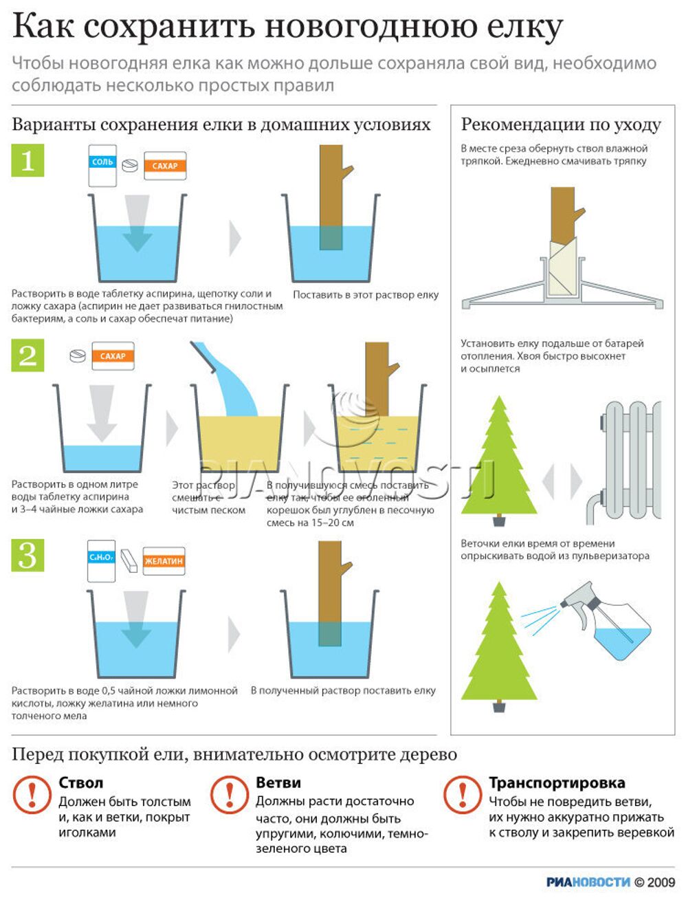 Как сохранить новогоднюю елку