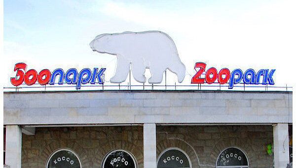 Зоопарк в Санкт-Петербурге. Архив