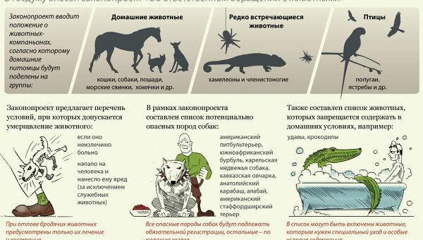 Правила обращения с животными в России