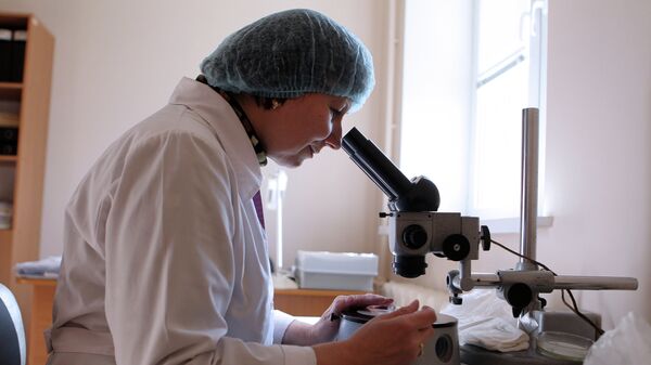 Исследование клещей в паразитологической лаборатории
