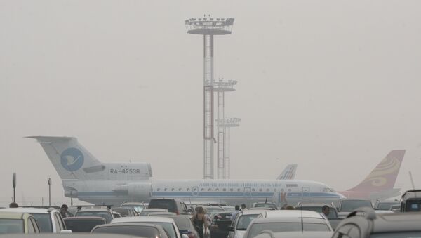 В аэропорту Домодедово, архивное фото