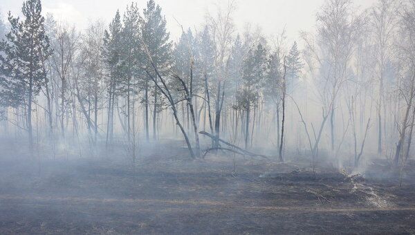 Тушение лесного пожара на окраине села Смоленка под Читой, 2 мая