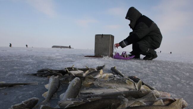 Зимняя рыбалка на льду Амурского залива вблизи Владивостока. Архивное фото
