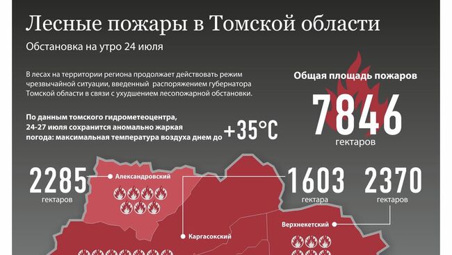 Лесные пожары в Томской области на 24 июля