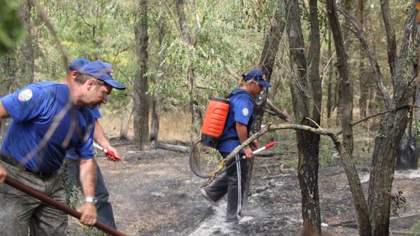 Волонтеры и пожарные ликвидируют очаги в лесу.