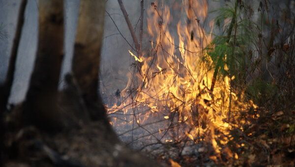 Бурятия. Лесные пожары. Архивное фото