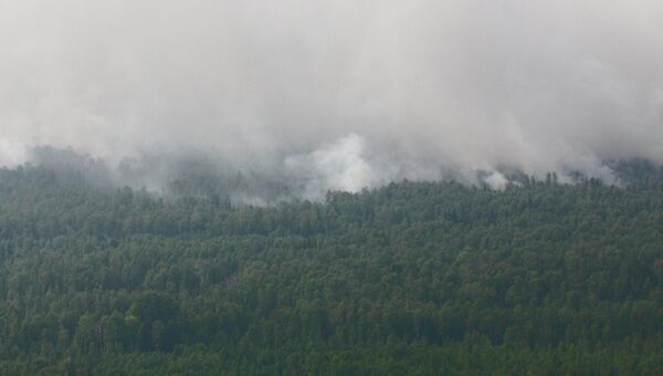 Дым от лесных пожаров в Томской области