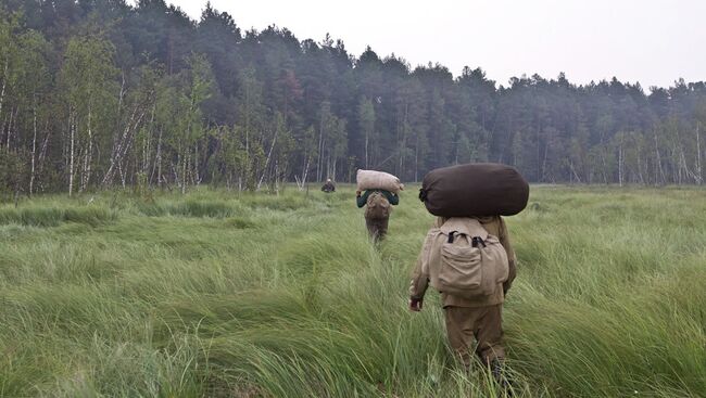 Пожары в лесах Томской области