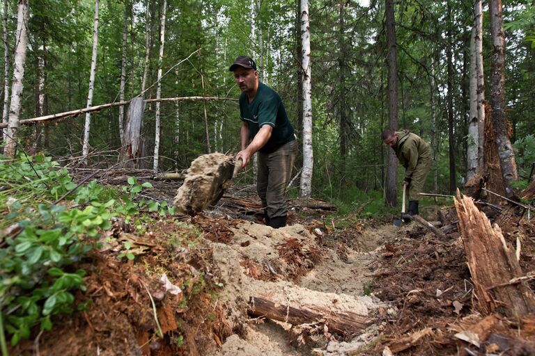 Пожары в лесах Томской области