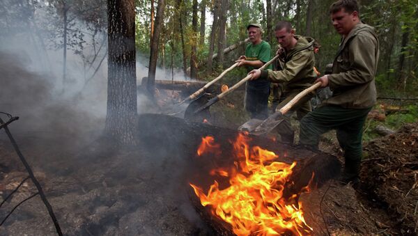 Пожары в лесах Томской области, архивное фото