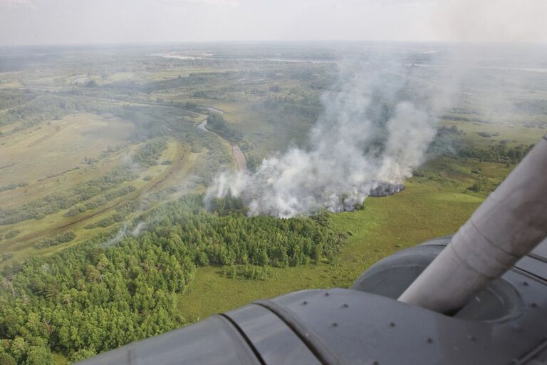 Пожары в лесах Томской области