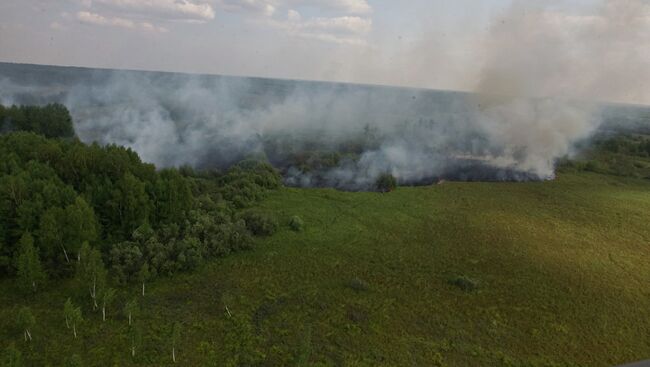 Пожары в лесах Томской области