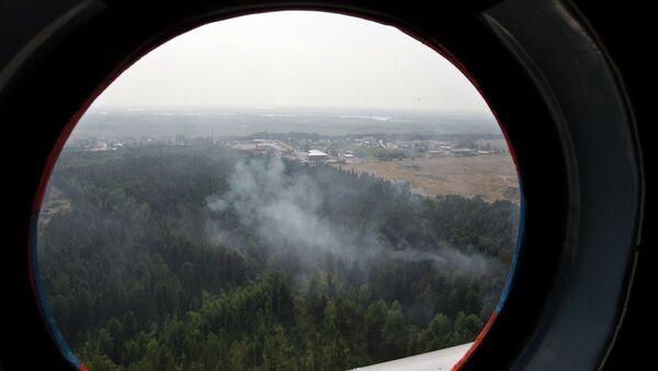 Пожары в лесах Томской области, архивное фото