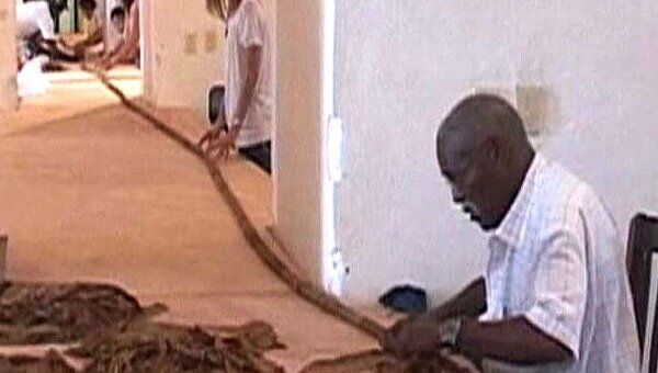 Кубинец скрутил самую длинную в мире сигару длиной более 81 метра