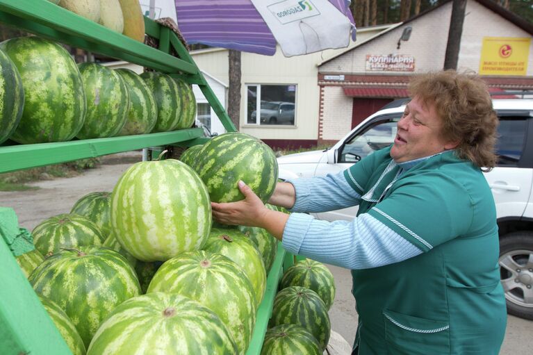 Рейд по точкам продажи бахчевыми