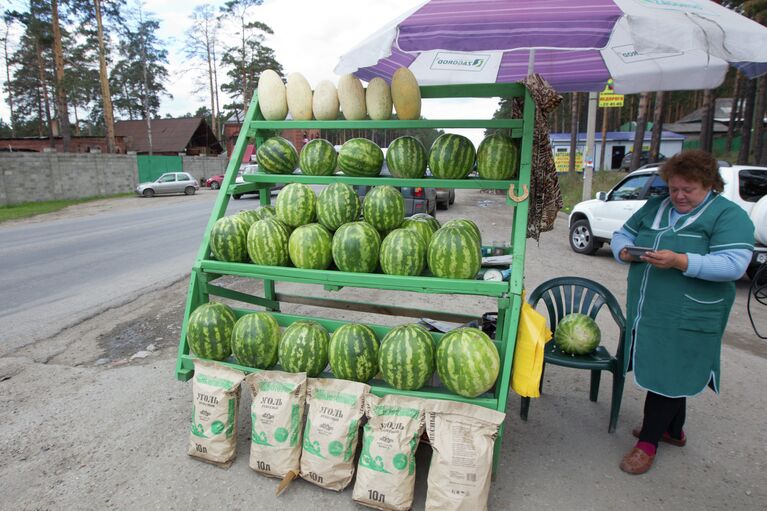 Рейд по точкам продажи бахчевых