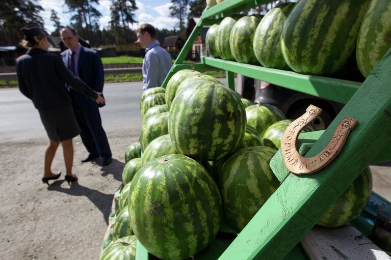 Рейд по точкам продажи бахчевых