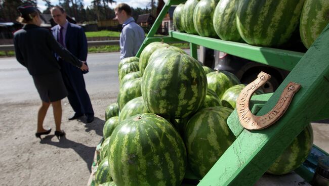 Рейд по точкам продажи бахчевых