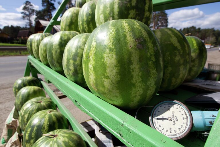 Рейд по точкам продажи бахчевых