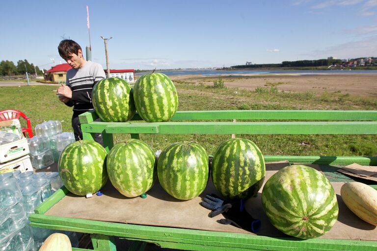 Рейд по точкам продажи бахчевых